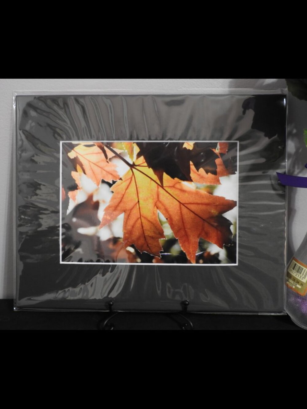 2/$13 Matted Photography Autumn Leaf Close Up, 8x10